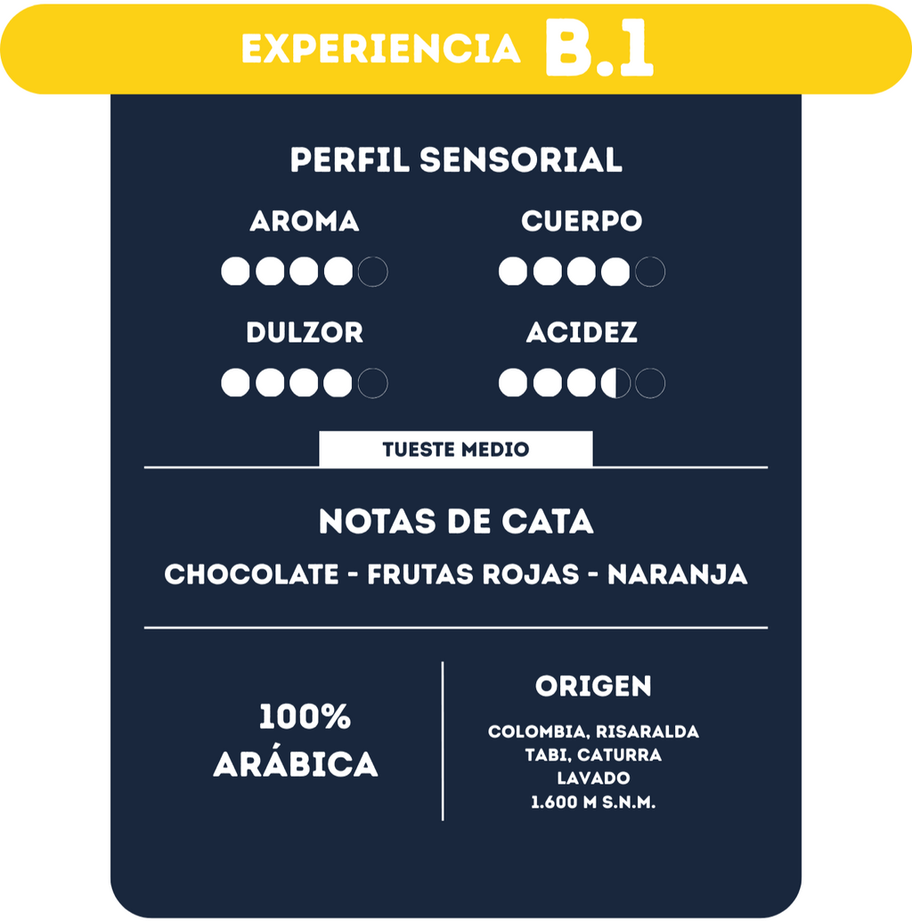Experiencia B1