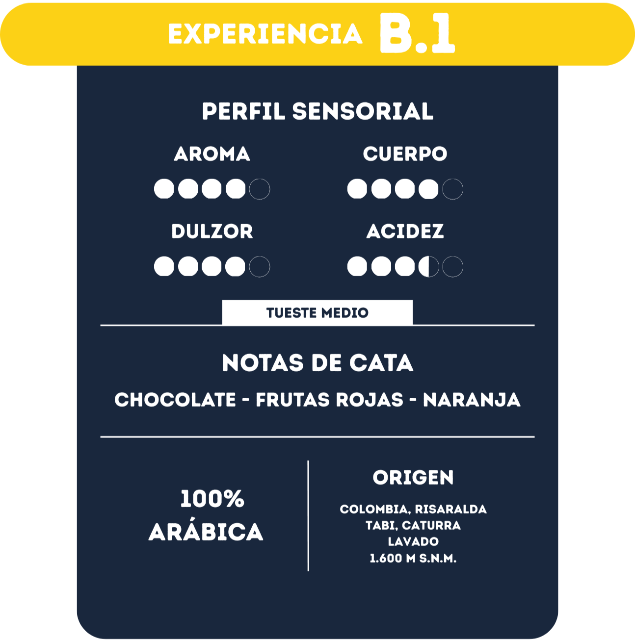 Experiencia B1