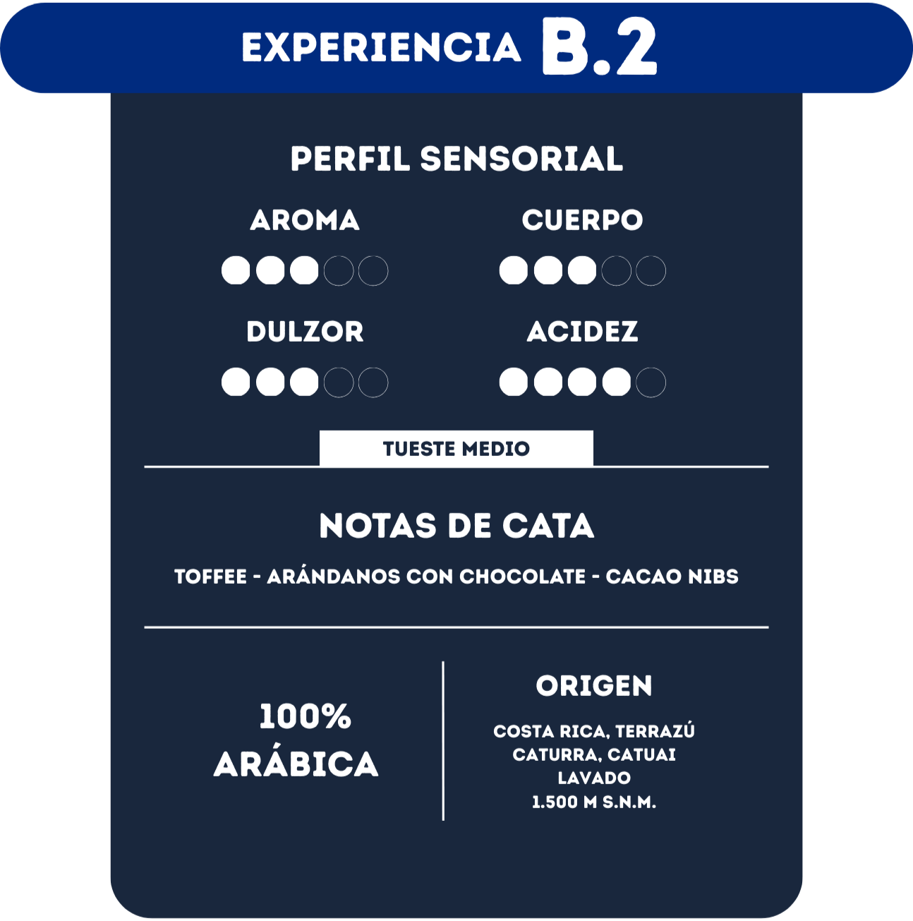 Experiencia B2