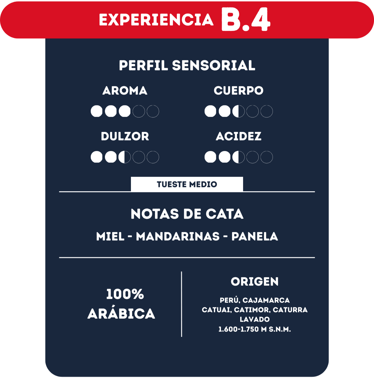 Experiencia B4