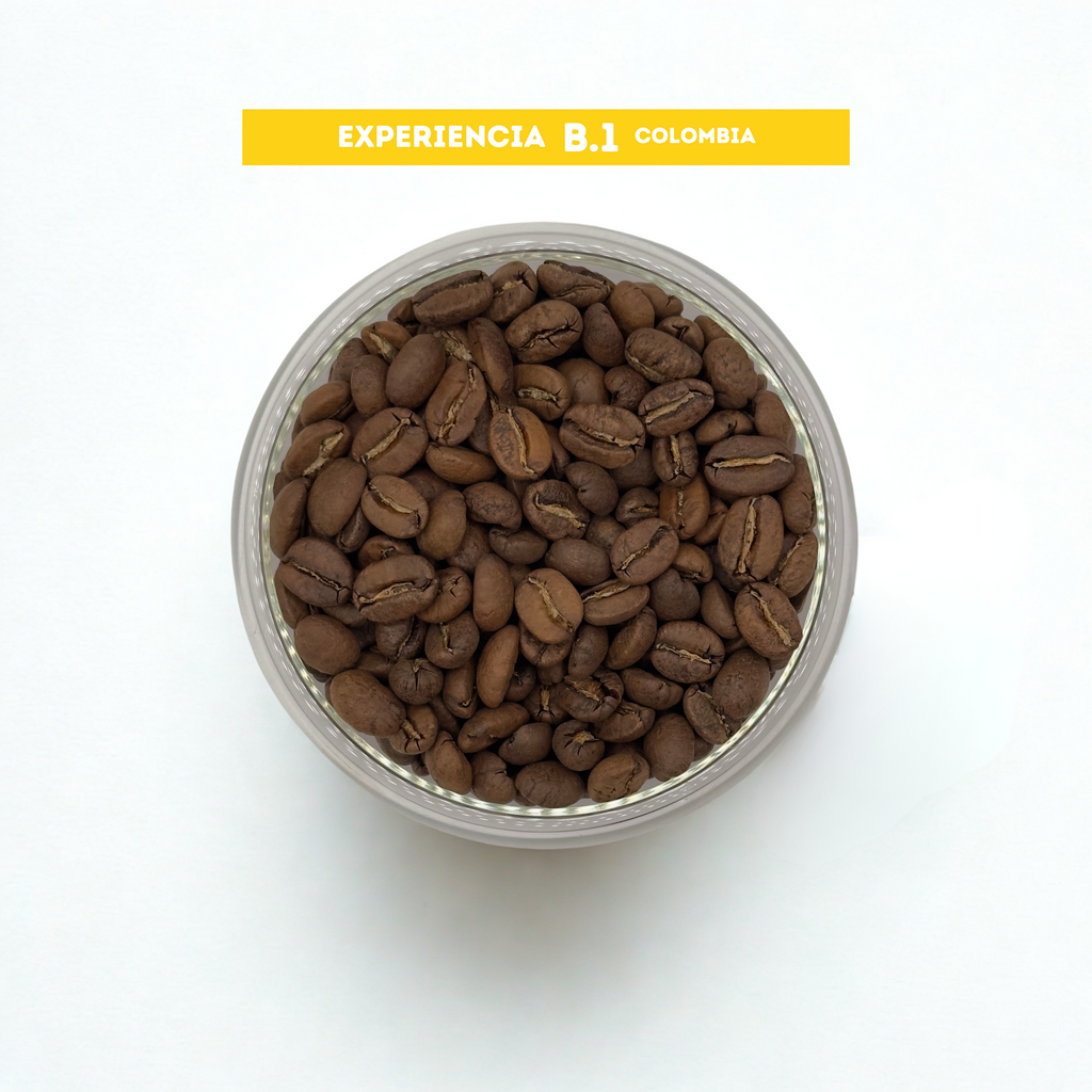 Café de Grano Experiencia B1 - Colombia