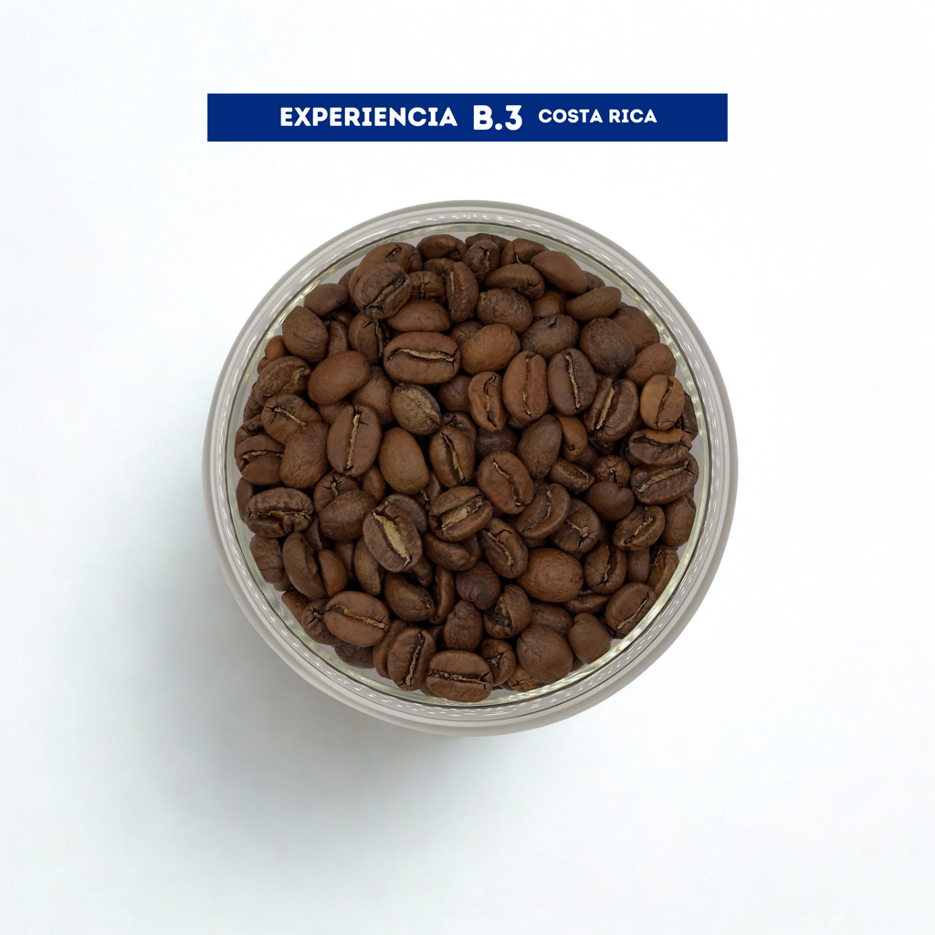 Café de Grano Experiencia B3 - Costa Rica