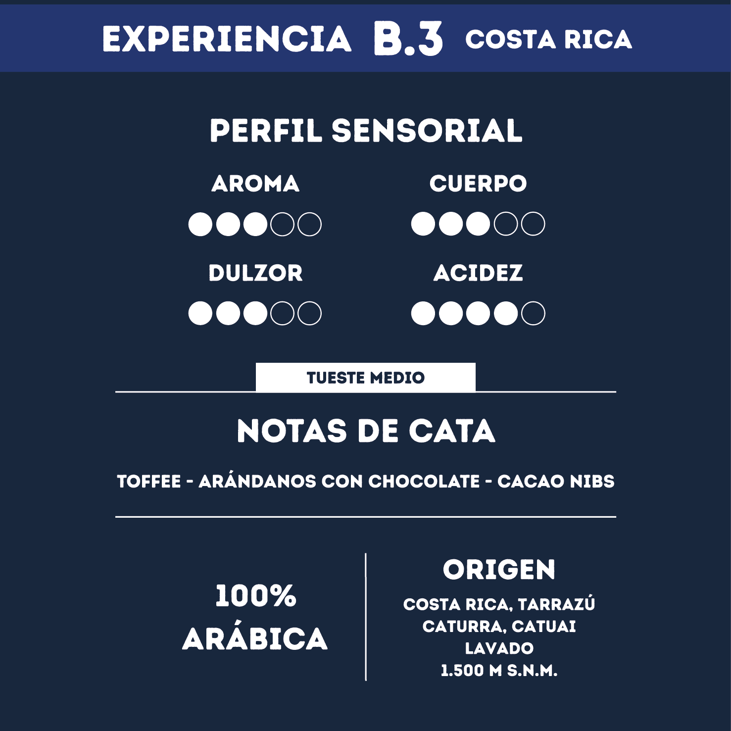 Café de Grano Experiencia B3 - Costa Rica