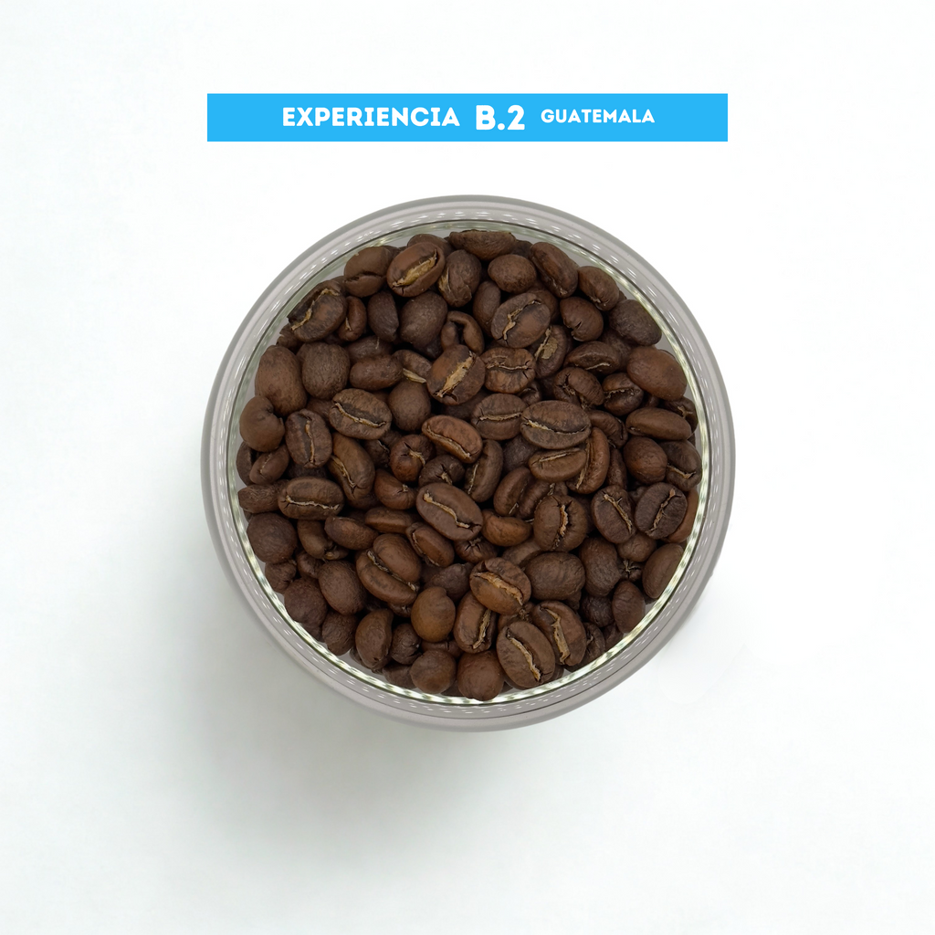 Café de Grano Experiencia B2 - Guatemala